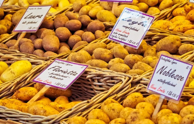 Eco-Organic Benefits